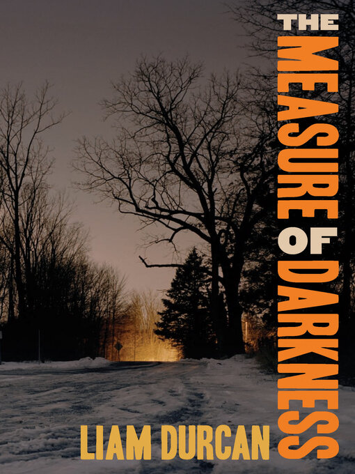 Cover image for The Measure of Darkness